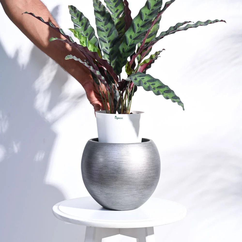 Ugaoo Planter Vase Ball Retro (Silver)