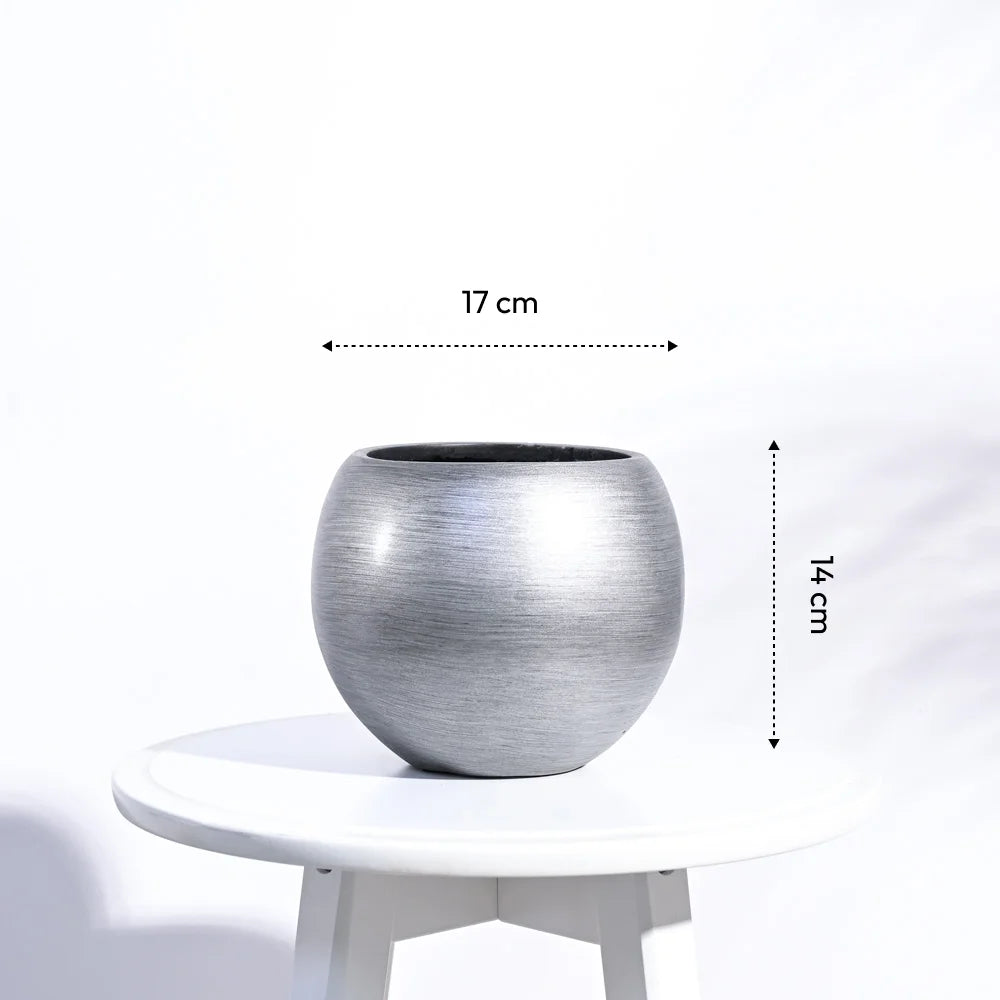 उगाऊ प्लांटर फूलदान बॉल रेट्रो (सिल्वर) | Ugaoo Planter Vase Ball Retro (Silver)