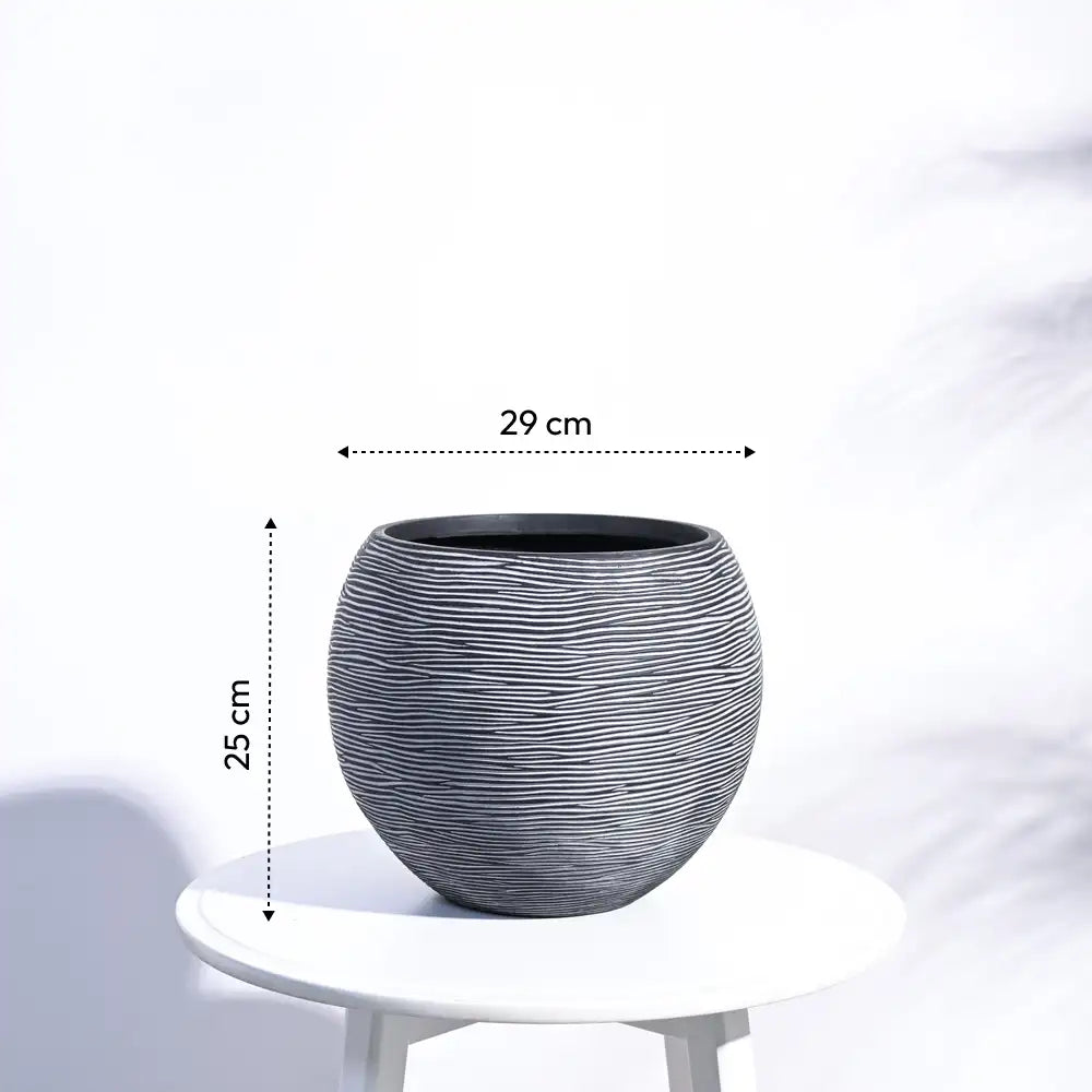 उगाऊ प्लांटर फूलदान बॉल रिब (ब्लैक) | Ugaoo Planter Vase Ball Rib (Black)