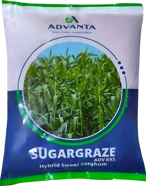 Advanta Sugargraze Fodder Grass Seeds