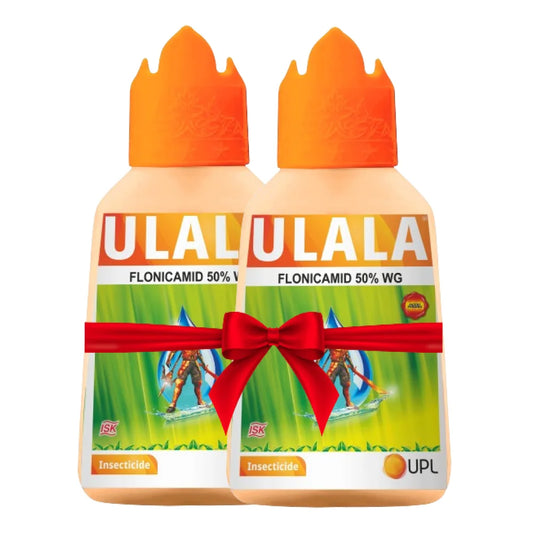 Whitefly Control with Ulala Insecticide (1+1 Combo)