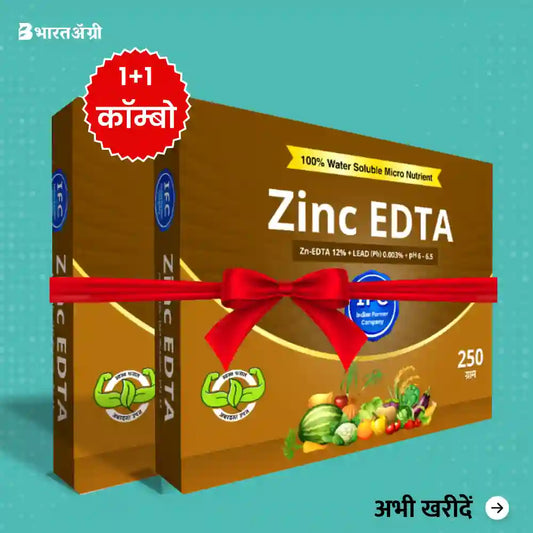 IFC Zinc EDTA (Zinc 12%) Fertilizer - 250 g (1+1 Combo)