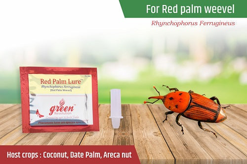 Pheromone Lure for Red Palm Weevil - BharatAgri Krushidukan_1