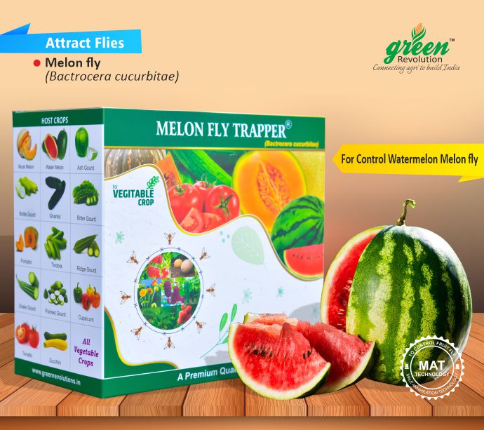 Melon Fruit Fly Trapper (Vegetable Fruit Fly Pheromone Trap) 1