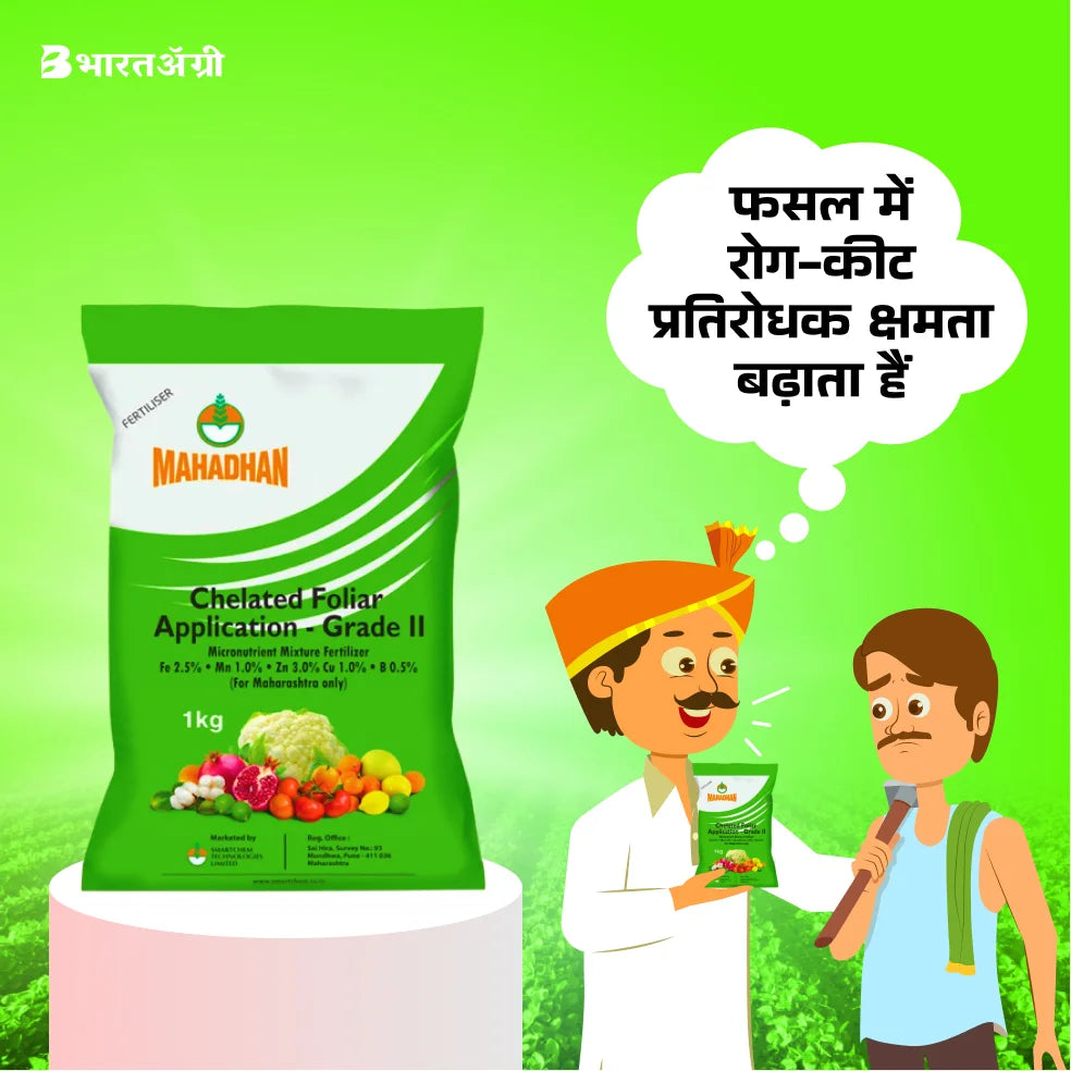 Mahadhan Combi - Chelated Micronutrient Mixture (1+1 Combo)