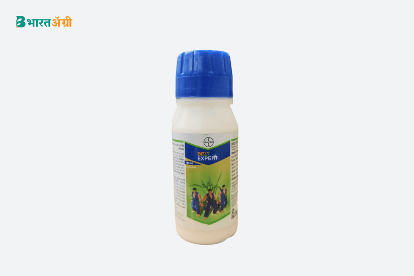 Buy Bayer Belt expert insecticide for Sucking Pest Up to 40 Off
