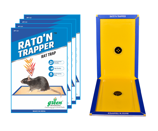 Raton n Trapper Small (Mouse Glue Trap) - BharatAgri Krushidukan_1