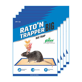 Mouse Glue Trap Big , Home Use, Warehouse - BharatAgri Krushidukan_1