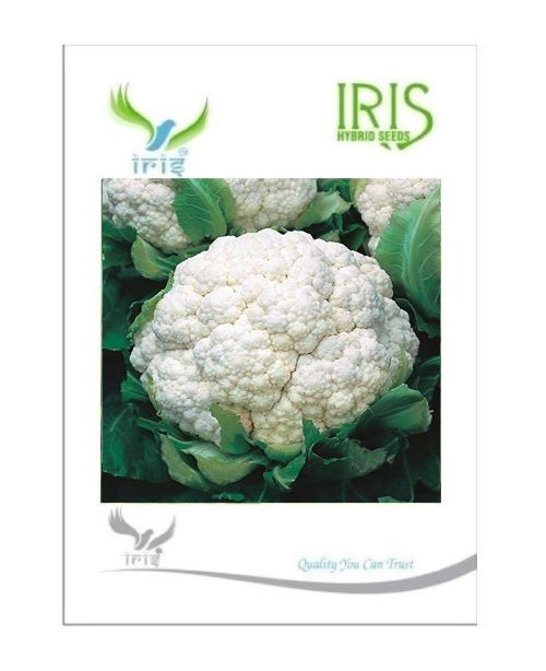 Iris Hybrid F1 Cauliflower Seeds - BharatAgri Krushidukan