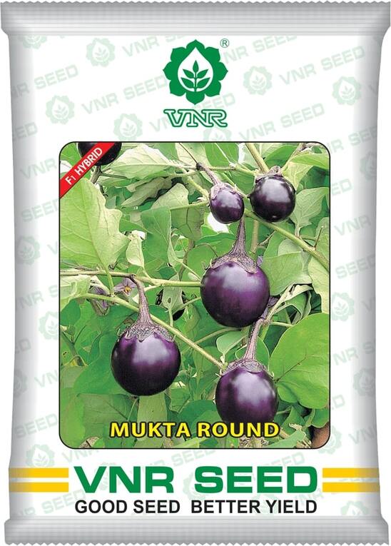 VNR Mukta Round F1 Hybrid Brinjal Seeds - BharatAgri Krushidukan_1