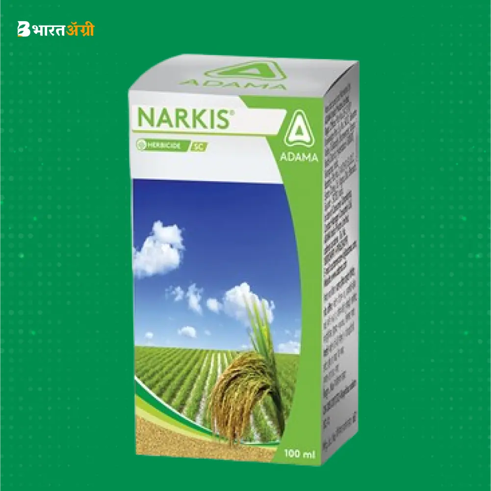 adama-narkis-bispyribac-sodium-10-sc-herbicide | BharatAgri Krushidukan
