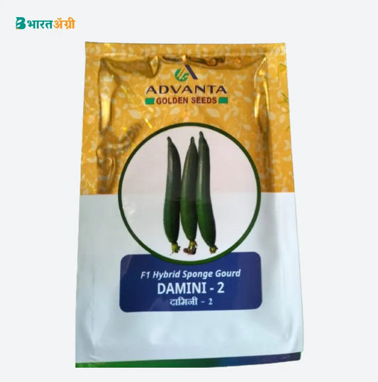 Advanta F1 Hybrid Damini-2 Sponge Gourd Seeds | BharatAgri