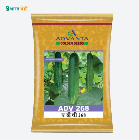 Advanta F1 Hybrid ADV 268 Cucumber Seeds | BharatAgri