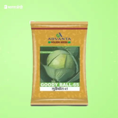 Advanta Goody Ball 65 F1 Hybrid Cabbage Seeds | BharatAgri Krushidukan