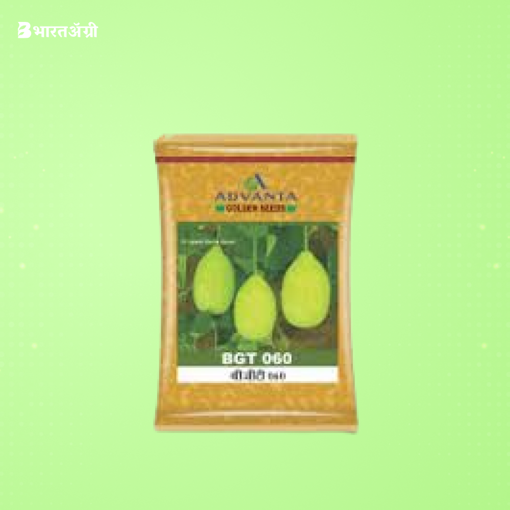 Advanta BGT-060 (Round) F1 Hybrid Bottle Gourd Seeds | BharatAgri