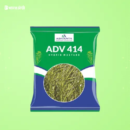 Advanta Hyola 405 Mustard Seeds | BharatAgri Krushidukan