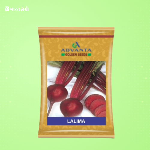 Advanta Lalima F1 Hybrid Beetroot Seeds | BharatAgri Krushidukan