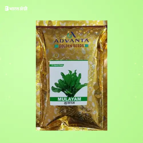 Advanta Mulayam Spinach F1 Hybrid Seeds | BharatAgri Krushidukan