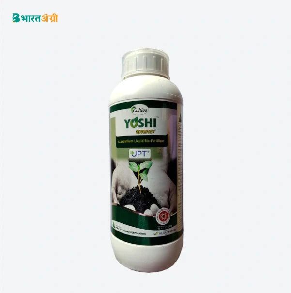 Agro Life Science Yoshi Gold (Azospirillum Spp) Bio Fertilizer