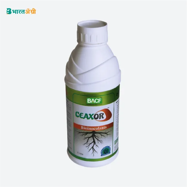 BACF Ceaxor Phosphate Solubilizing Bacteria
