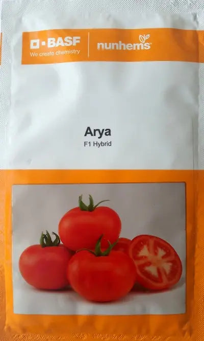 BASF Nunhems F1 Hybrid Arya Tomato Seeds (BharatAgri KrushiDukan)
