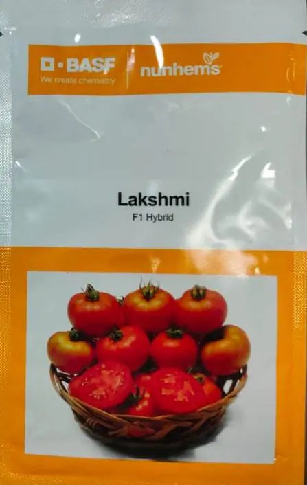 BASF Nunhems Lakshmi Tomato Seeds (BharatAgri KrushiDukan)