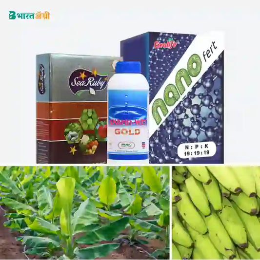 Banana Badhat Kit - Vegetative Growth (10-90 days) - Krushidukan_1