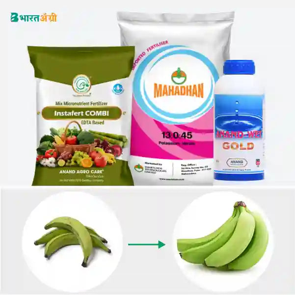 Banana Badhat Kit - Weight Gain (270-330 days) - Krushidukan_1