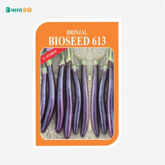 Bioseed 613 Brinjal Seeds - BharatAgri Krushidukan