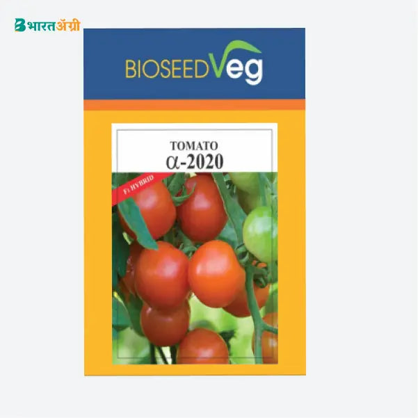 Bioseed ALFA 2020 Hybrid Tomato Seeds - Krushidukan
