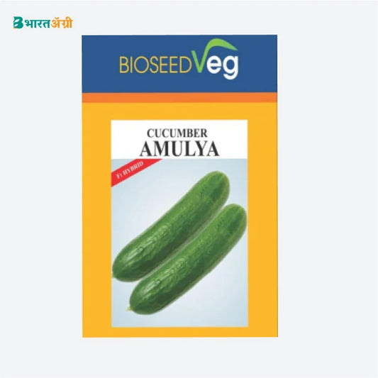 Bioseed Amulya Hybrid Cucumber Seeds - Krushidukan