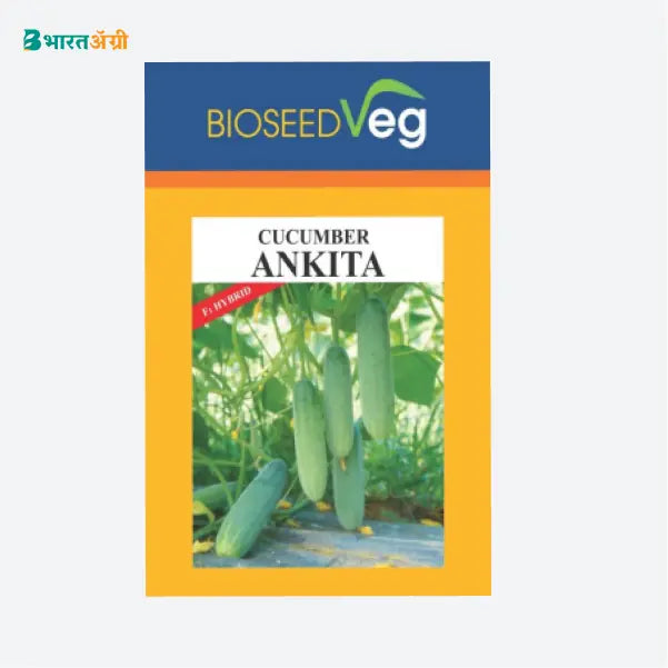 Bioseed Ankita Hybrid Cucumber Seeds - Krushidukan