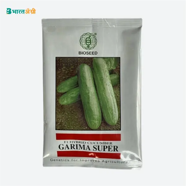 Bioseed Garima Super Hybrid Cucumber Seeds - Krushidukan