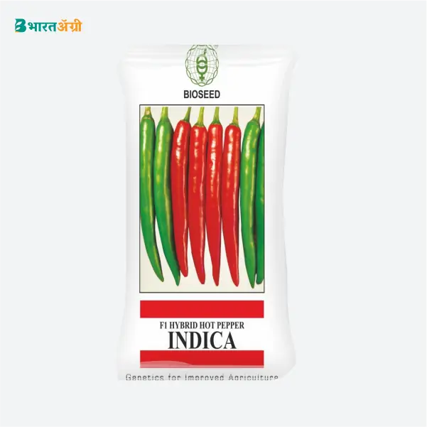 Bioseed Indica Hot Pepper Chilli Seeds - Krushidukan