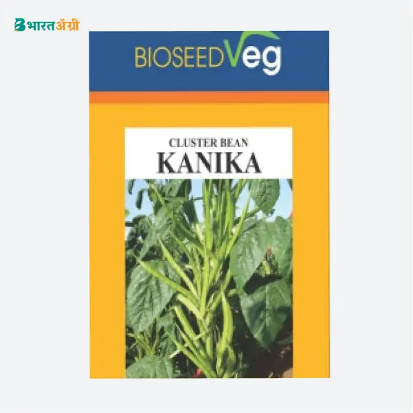 Bioseed Kanika Cluster Bean Seeds - BharatAgri Krushidukan