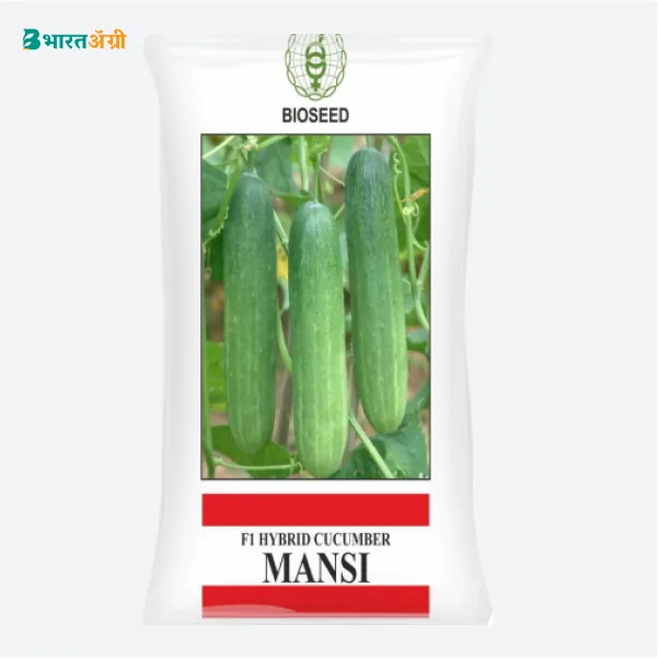 Bioseed Mansi Hybrid Cucumber Seeds - BharatAgri Krushidukan