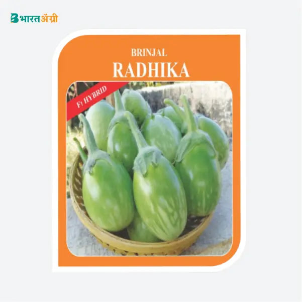 Bioseed Radhika Brinjal Seeds - BharatAgri Krushidukan