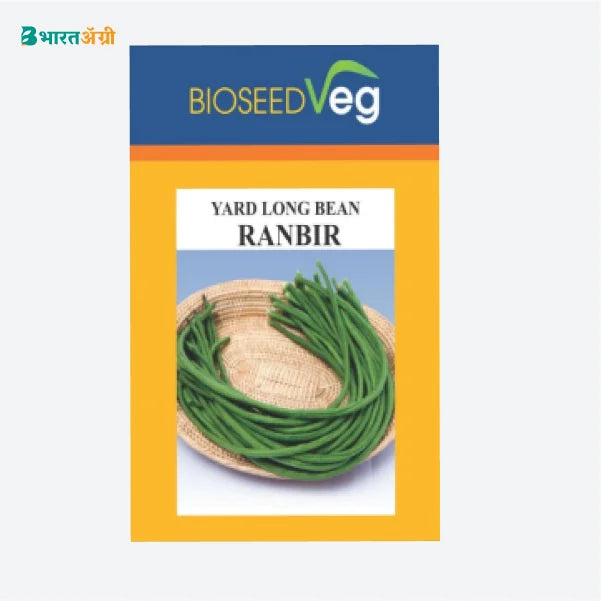 Bioseed Ranbir Yard Long Bean Seeds - BharatAgri Krushidukan