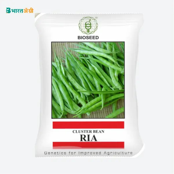 Bioseed Ria Cluster Bean Seeds - BharatAgri Krushidukan