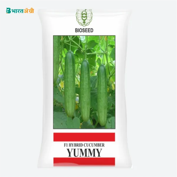 Bioseed Yummy Hybrid Cucumber Seeds - BharatAgri Krushidukan