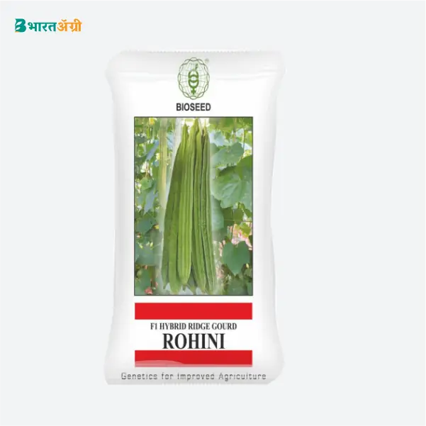 Bioseed Rohini Ridge Gourd Seeds - BharatAgri Krushidukan
