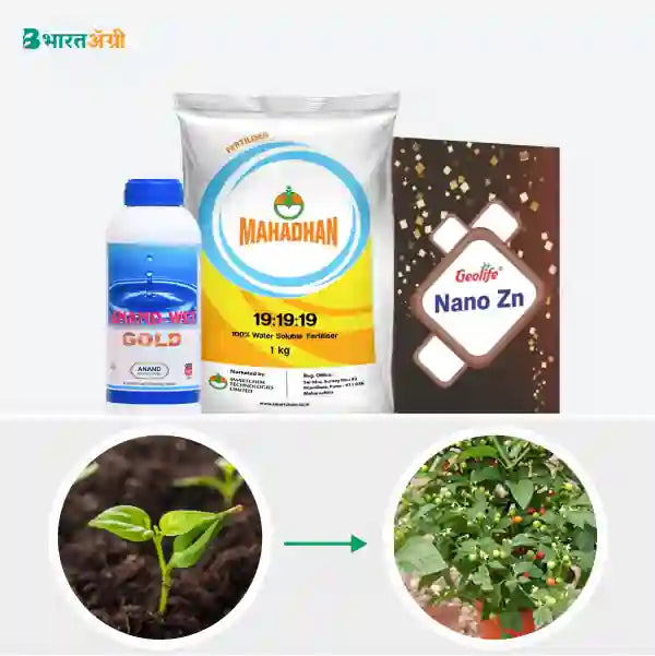 Chilli Badhat Kit - Vegetative Growth (0-30 days) - Krushidukan_1
