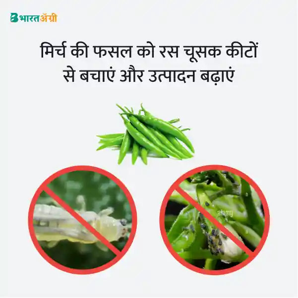 Chilli Suraksha Kit - Sucking Pest -  BharatAgri Krushidukan