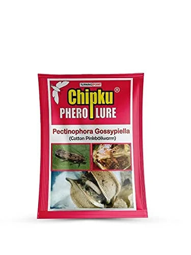 Chipku Pink bollworm Lure BharatAgri Krushidukan