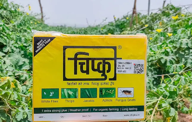 Chipku Yellow Sticky Trap BharatAgri Krushidukan