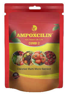 Ampoxcilin Chelated Multi Micronutrient Fertilizer (Combi 2)1