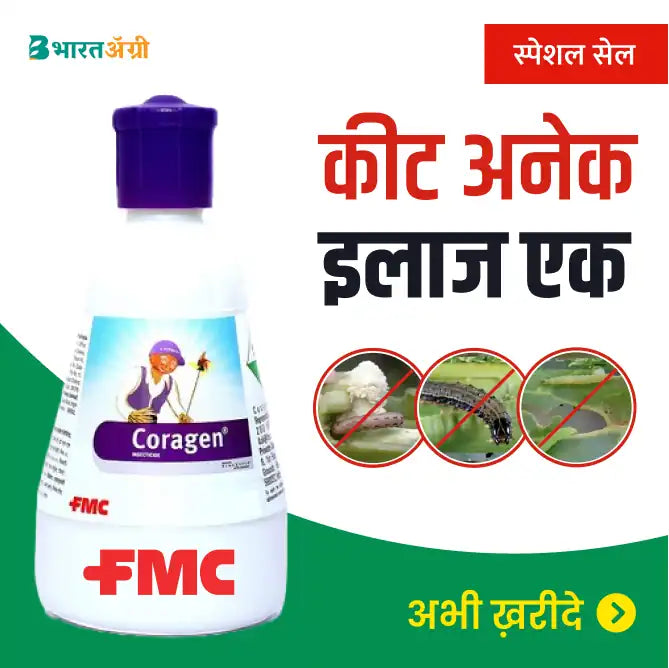 FMC Coragen Insecticide _BharatAgri KrushiDukan