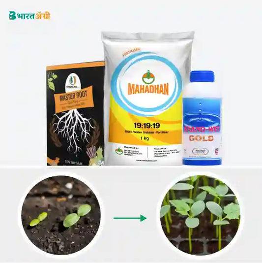 Cucumber Badhat Kit - Growth (2-10 days) - BharatAgri Krushidukan_1