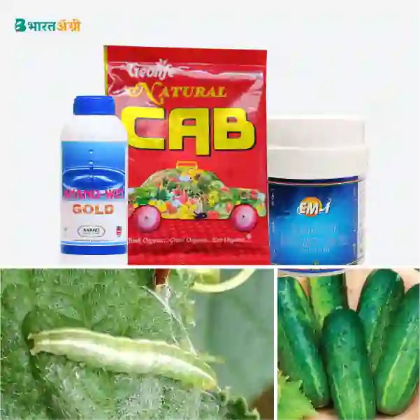 Cucumber Suraksha Kit - Cutworm and Leaf eating Caterpiller  - Bharatagri krushidukan