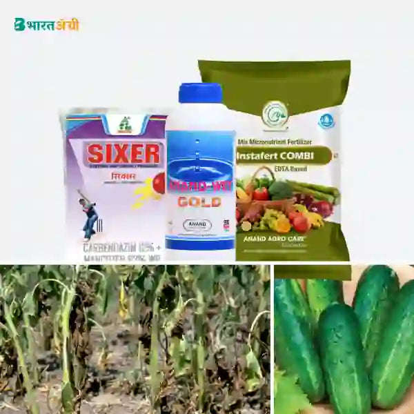 Cucumber Suraksha Kit - Stem Rot Wilting (5-60 days) - Krushidukan_1